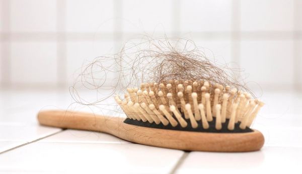 women's hair loss in a brush